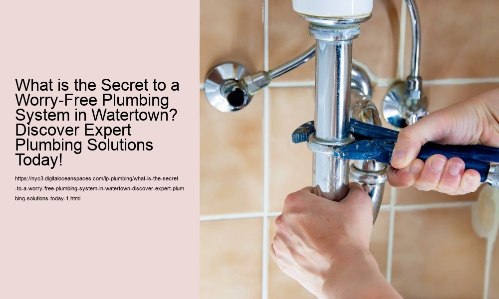 What is the Secret to a Worry-Free Plumbing System in Watertown? Discover Expert Plumbing Solutions Today!