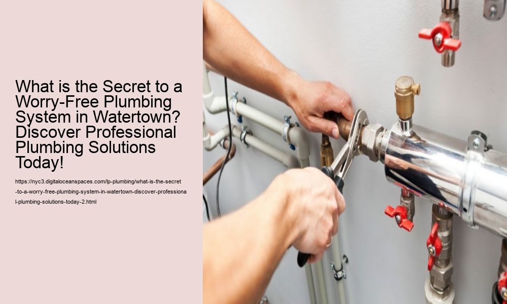 What is the Secret to a Worry-Free Plumbing System in Watertown? Discover Professional Plumbing Solutions Today!